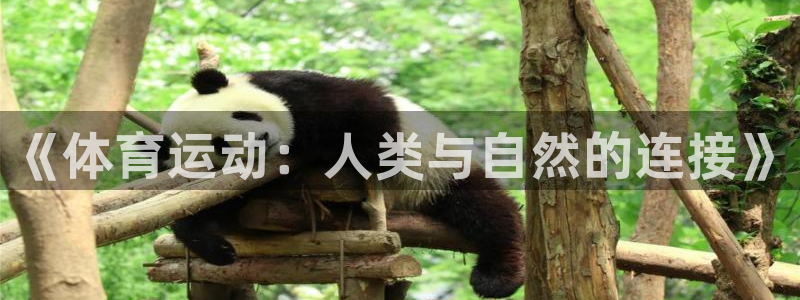 成都沐鸣2电子有限公司
