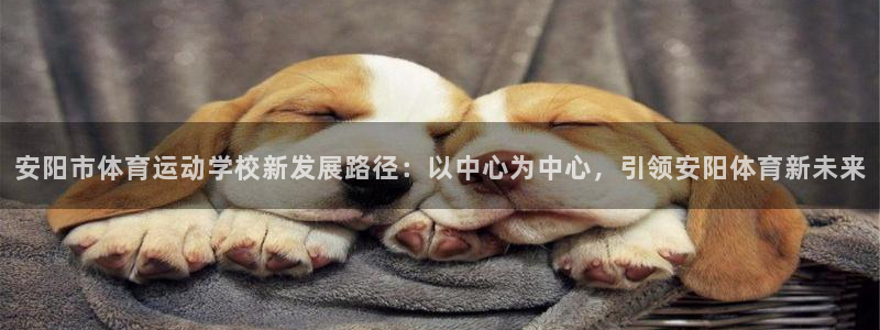 沐鸣2体育3
