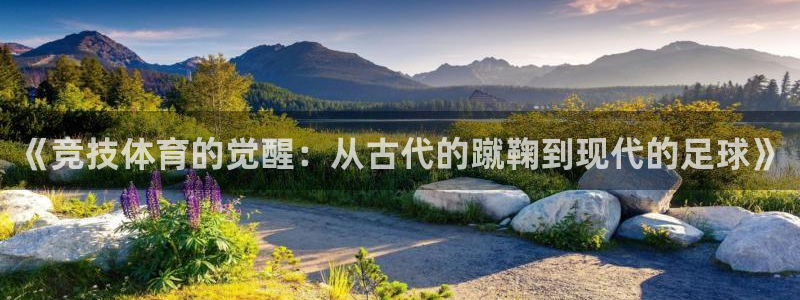 沐鸣2平台招商