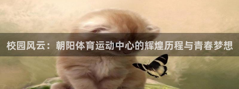 沐鸣2