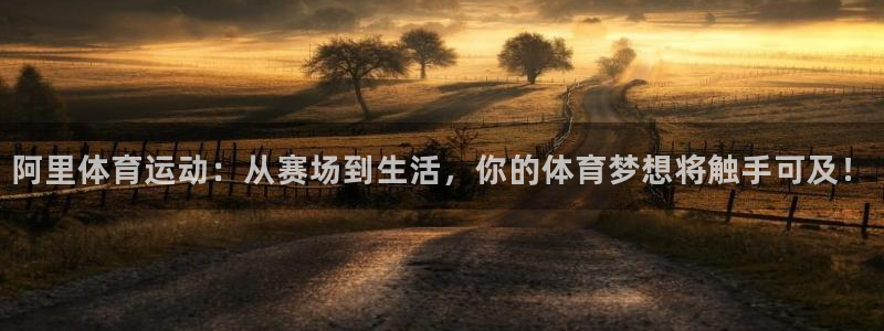 沐鸣23官网