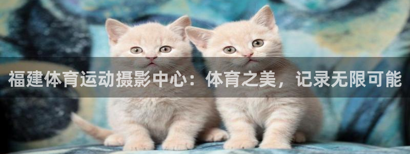 沐鸣2在线登录