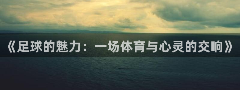 沐鸣2体育官网