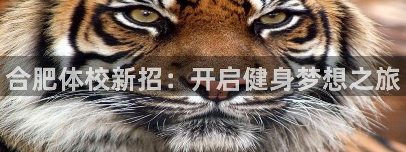 沐鸣2登录注册