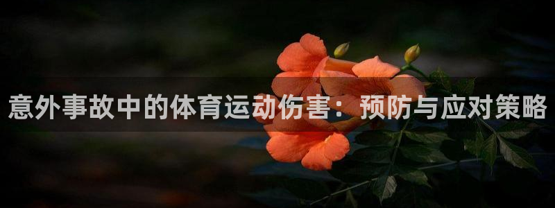 沐鸣2官网