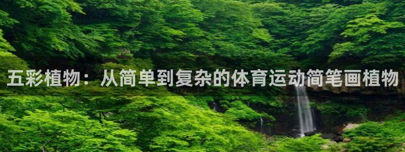 沐鸣2体育4