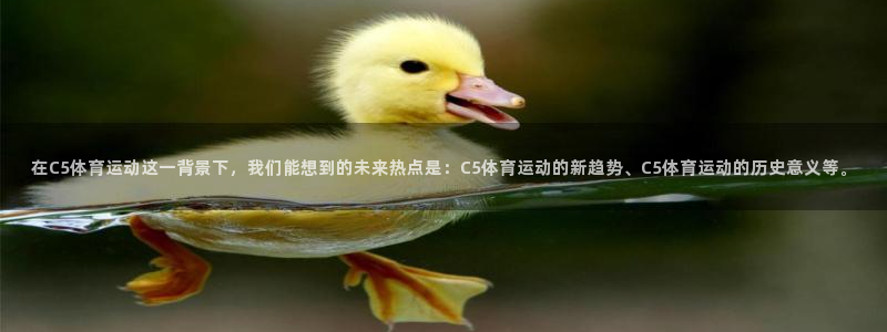 沐鸣2体育代理申请流程