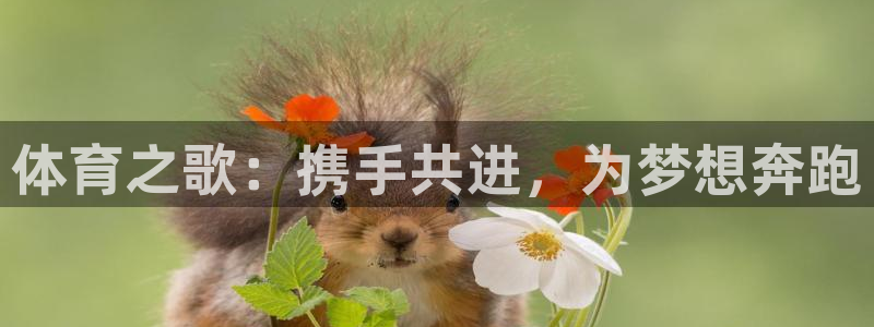 沐鸣2平台总代理