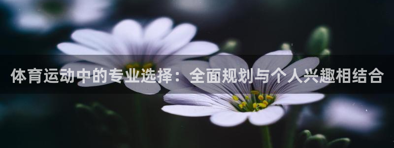沐鸣2体育注册平台