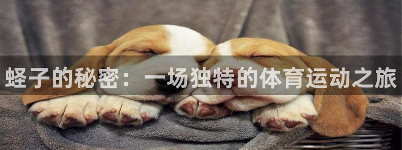 沐鸣2平台代理