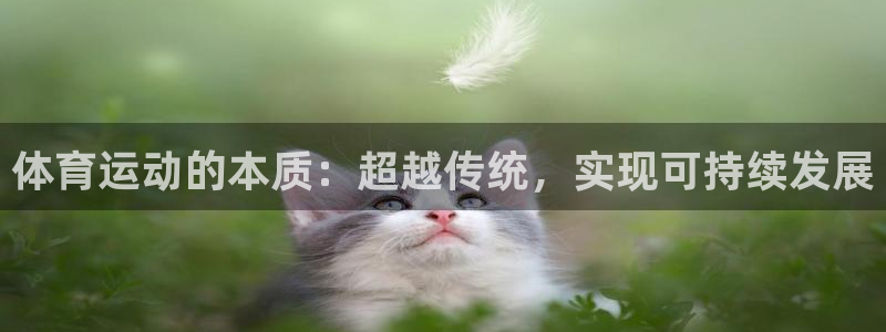 沐鸣平台登录