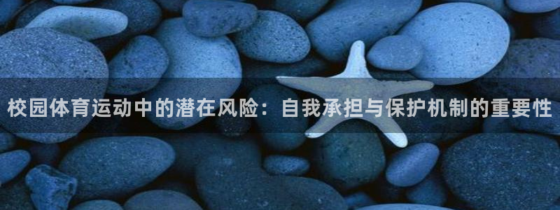 东莞市沐鸣2电子科技有限公司