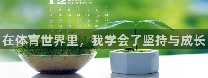 鸣潮网页版登录入口