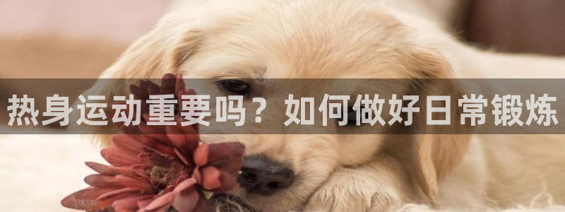 沐鸣2招商