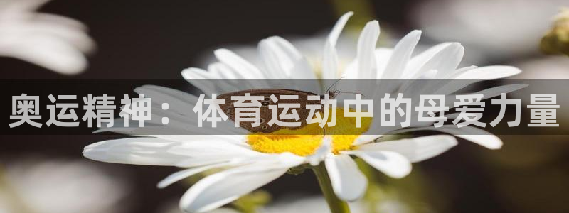 沐鸣2体育3