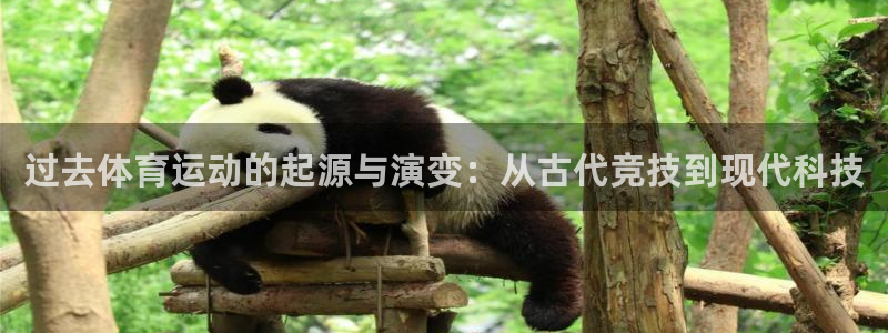 沐鸣2登录注册